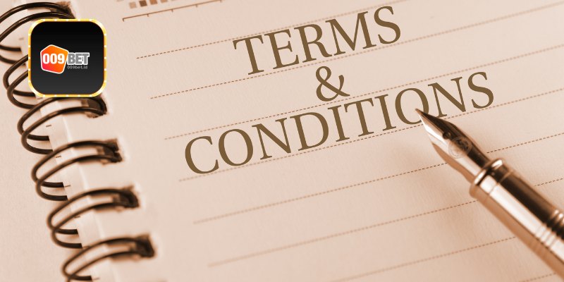 Nội dung những điều kiện điều khoản