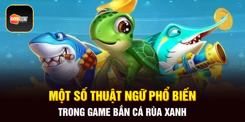 bắn cá rùa xanh 3