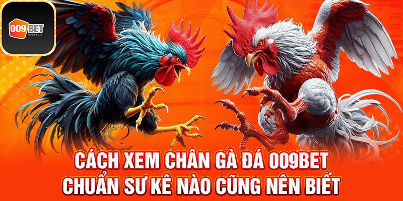 Cách xem chân gà đá 1