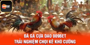 Đá gà cựa dao 1