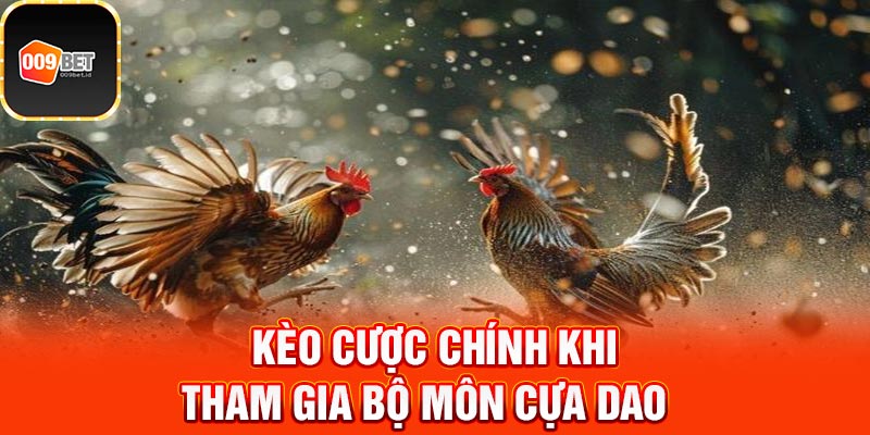 đá gà cựa dao 4