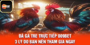 Đá gà tre trực tiếp 1
