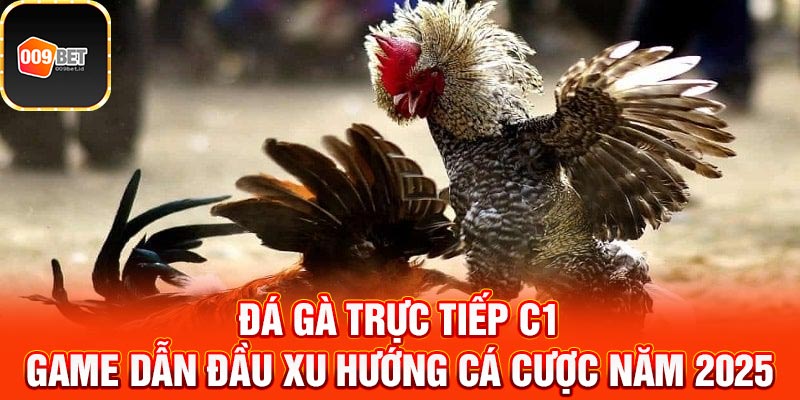 Đá gà trực tiếp C1 1
