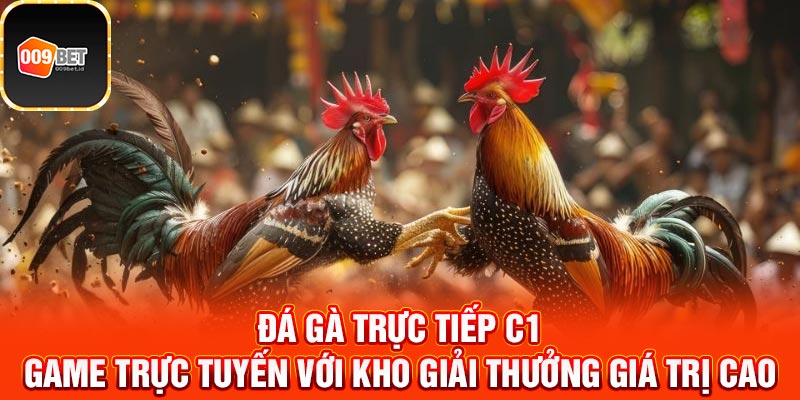 Đá gà trực tiếp C1 2