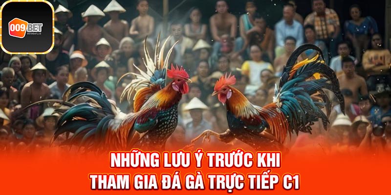 đá gà trực tiếp C1 4