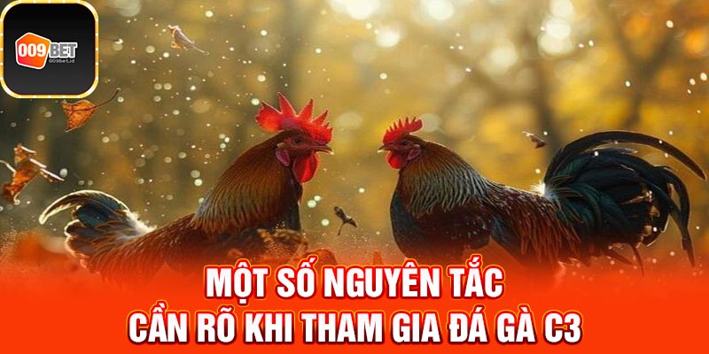 đá gà trực tiếp C3 3